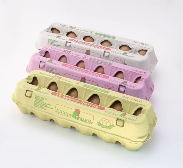 AvicolaCalleja_EstuchesTodos